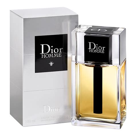 dior homme woman